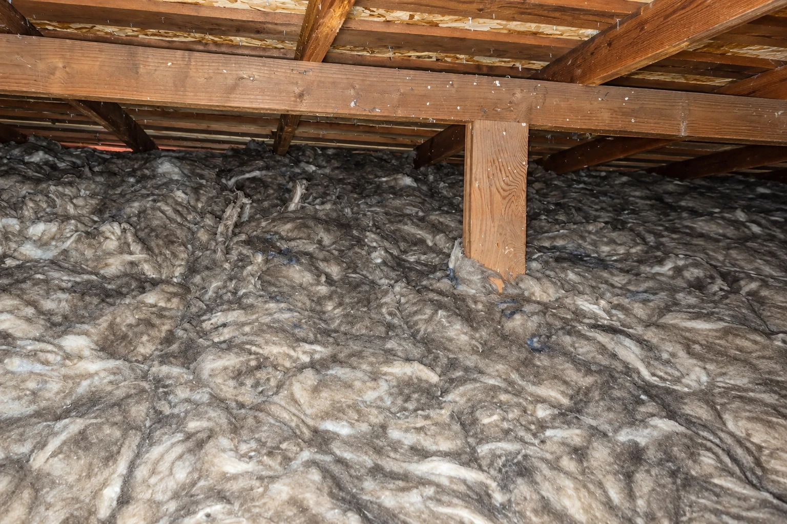 Gray and white batt insulation blankets an attic floor beneath exposed wooden beams.